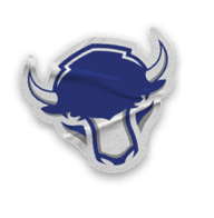 A collection of sports logos and symbols, including a bison logo and a hockey stick. AI generated content