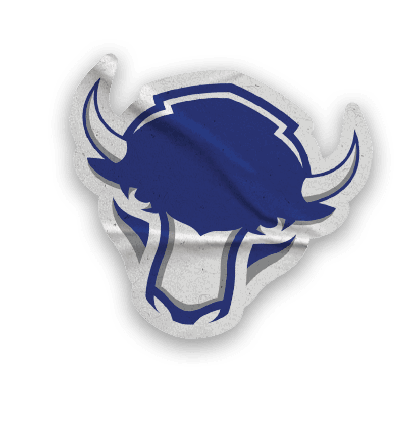 A collection of stickers, including a bison, a hockey stick, and a map of the United States. AI generated content