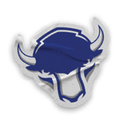 A collection of sports logos and symbols, including a bison logo and a hockey stick. AI generated content