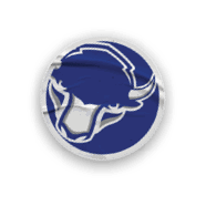 A collection of stickers featuring a bison, a football, a hockey stick, a basketball, a baseball, and a soccer ball. AI generated content