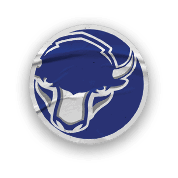 A collection of stickers featuring a bison, a hockey stick, a football, a basketball, a baseball glove, and a map of the United States. AI generated content