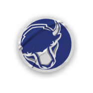 A collection of stickers featuring a bison, a football, a hockey stick, a basketball, a baseball, and a soccer ball. AI generated content