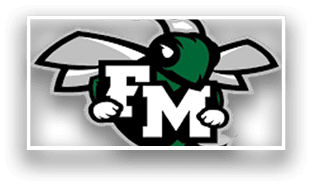 A green and white bee with the letters F and M on its body. AI generated content