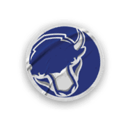 A collection of stickers featuring a bison, a football, a hockey stick, a basketball, a baseball, and a soccer ball. AI generated content