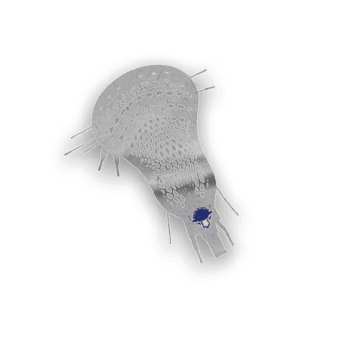 A collection of stickers, including a bison, a hockey stick, and a hand, are displayed. AI generated content