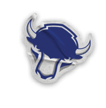 A collection of stickers featuring various sports teams, including the Buffalo Bisons. AI generated content
