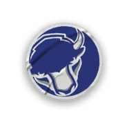 A collection of stickers featuring a bison, a football, a hockey stick, a basketball, a baseball, and a soccer ball. AI generated content