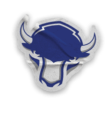 A collection of stickers featuring a bison, a hockey stick, a football, a baseball glove, a basketball, and a map of the United States. AI generated content