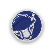 A collection of stickers featuring a bison, a football, a hockey stick, a basketball, a baseball, and a soccer ball. AI generated content