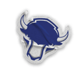 A collection of stickers featuring a bison, a hockey stick, a football, a basketball, a baseball, and a map of the United States. AI generated content