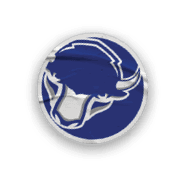 A collection of stickers featuring a bison, a football, a hockey stick, a basketball, a baseball, and a soccer ball. AI generated content