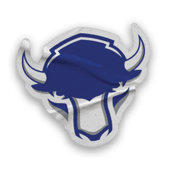 A collection of stickers featuring a bison, a football, a hockey stick, a basketball, a baseball, and a soccer ball. AI generated content