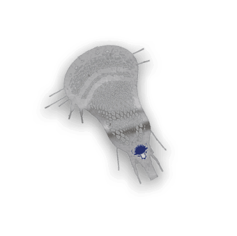 A collection of stickers, including a bison, a hockey stick, and a hand, are displayed. AI generated content