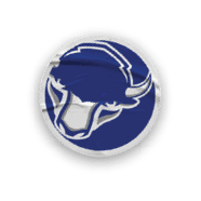 A collection of stickers featuring a bison, a football, a hockey stick, a basketball, a baseball, and a soccer ball. AI generated content
