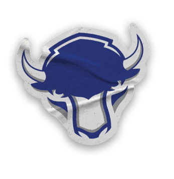 A collection of stickers featuring a bison, a football, a hockey stick, a basketball, a baseball, and a soccer ball. AI generated content