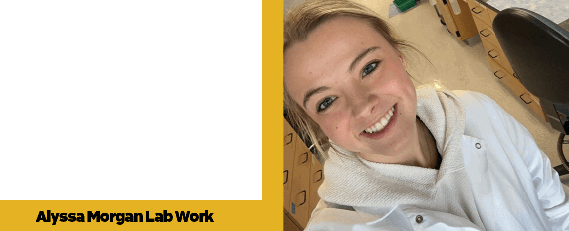 Alyssa Morgan Lab Wor