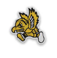 A logo for the University of Iowa Hawkeyes. Description generated by AI