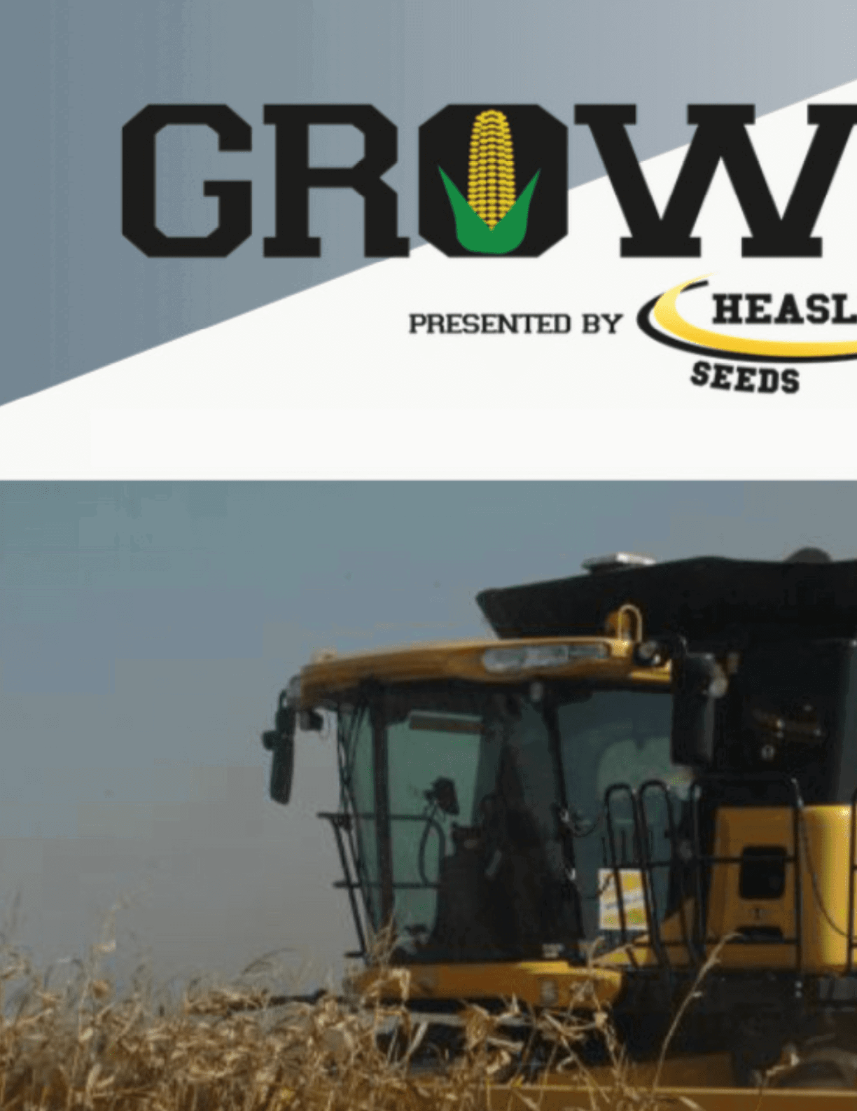 $$$/StateType/Normal