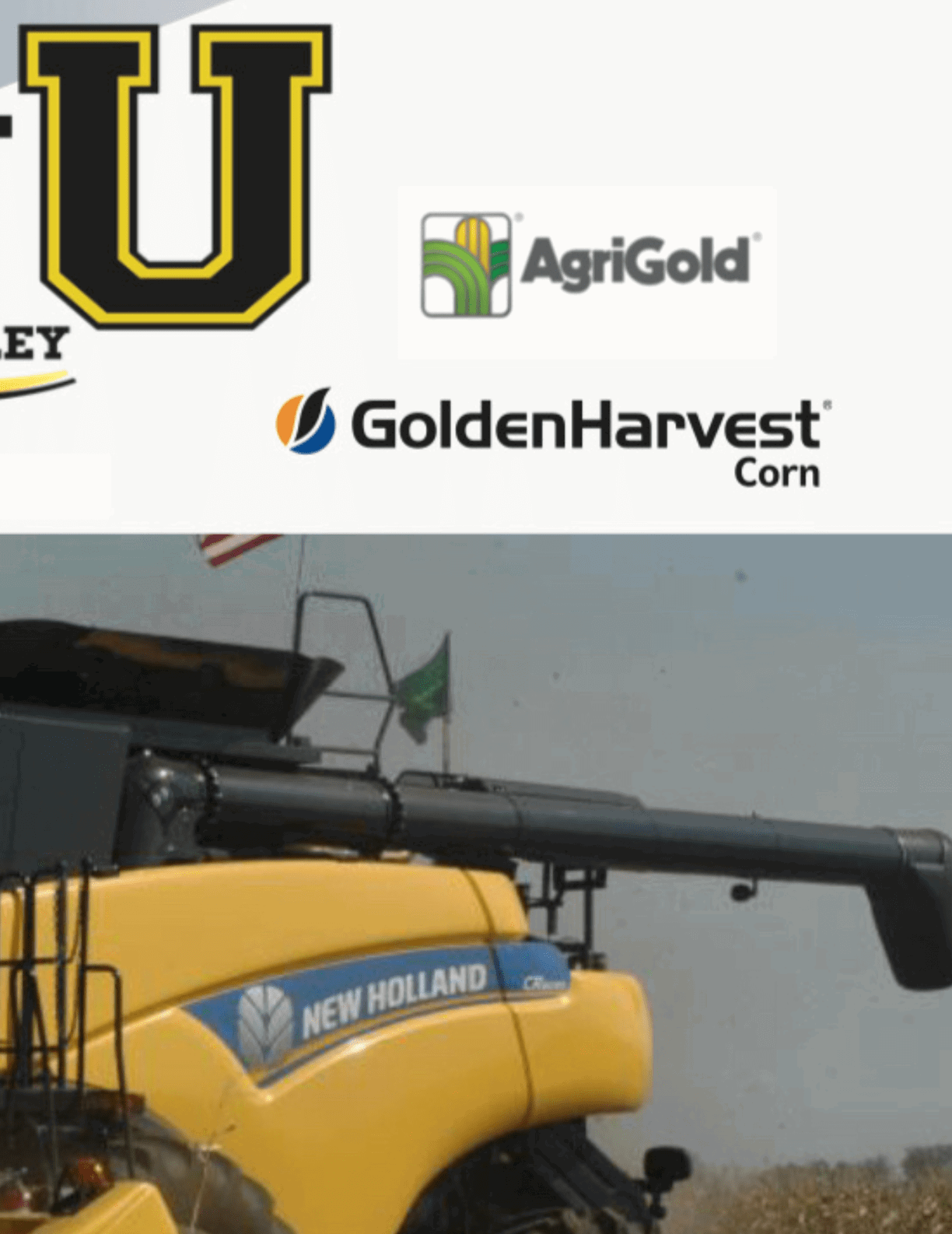 $$$/StateType/Normal