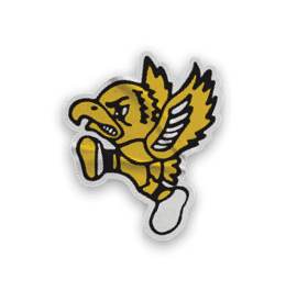 A logo for the University of Iowa Hawkeyes. Description generated by AI