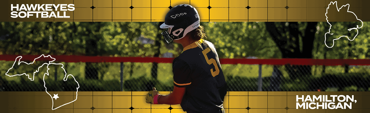 A person wearing a black and yellow shirt and a black helmet is holding a bat. Description generated by AI