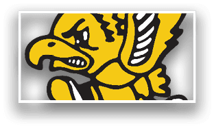 A bird with a yellow body and black wings. Description generated by AI