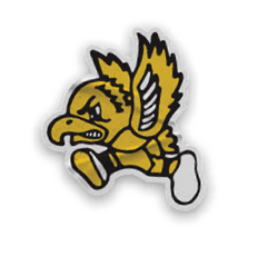 A logo for the University of Iowa Hawkeyes. Description generated by AI