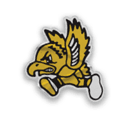 A logo for the University of Iowa Hawkeyes. Description generated by AI