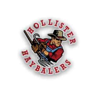 A collection of sports merchandise for the California Golden Bears. AI generated content