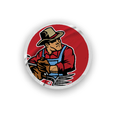 A collection of sports merchandise for the California Golden Bears. AI generated content