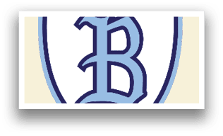 A blue and white shield with the letter B in the center. AI generated content