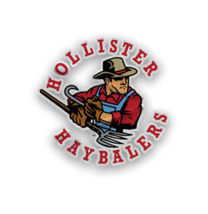 A collection of sports merchandise for the California Golden Bears. AI generated content