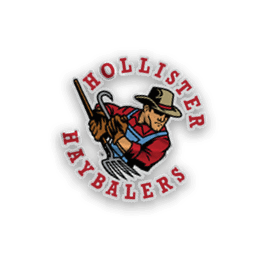 A collection of sports merchandise for the California Golden Bears. AI generated content