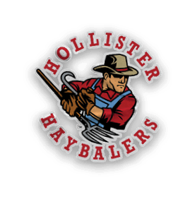 A collection of sports merchandise for the California Golden Bears. AI generated content