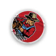 A collection of sports merchandise for the California Golden Bears. AI generated content