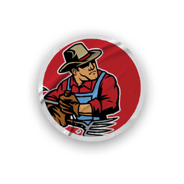 A collection of sports merchandise for the California Golden Bears. AI generated content