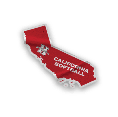 A collection of sports merchandise for the California Golden Bears. AI generated content