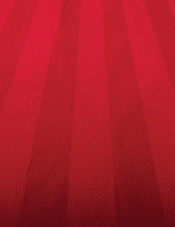 A red fabric with a pattern of white stripes. AI generated content