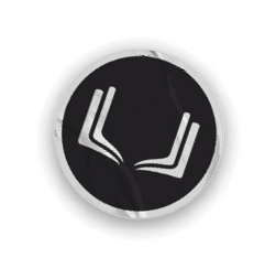 A collection of sports merchandise for the California Golden Bears. AI generated content