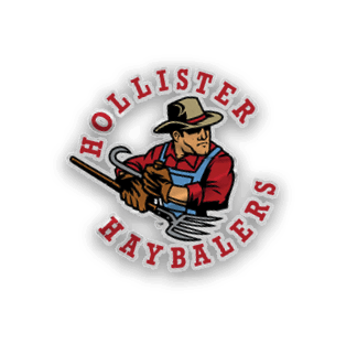 A collection of sports merchandise for the California Golden Bears. AI generated content