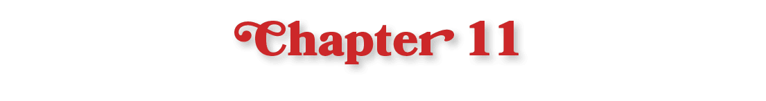 Chapter 11