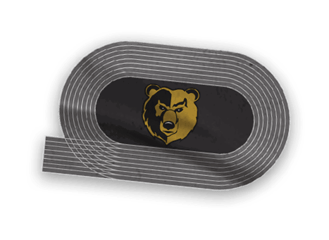 A collection of logos and images, including a bear and a football player, are displayed. Contenido generado con IA