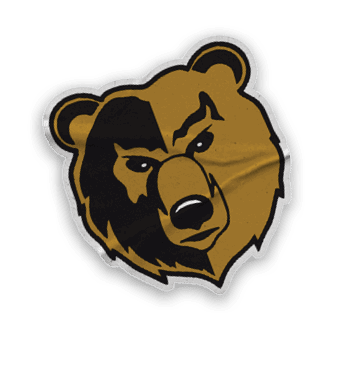 A collection of stickers and magnets featuring a bear, a football, and a hand. Contenido generado con IA