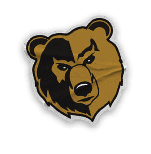 A collection of logos and images, including a bear, a football, and a hand with a thumbs up. Contenido generado con IA