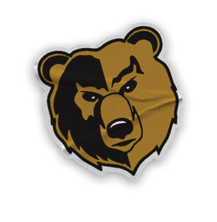 A collection of logos and images, including a bear, a football, and a hand with a thumbs up. Contenido generado con IA