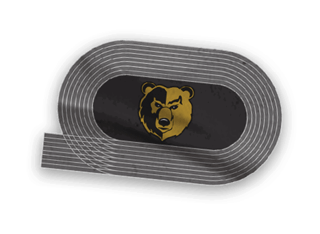A collection of logos and images, including a bear and a football player, are displayed. Contenido generado con IA