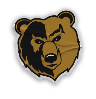 A collection of stickers and logos, including a bear, a football, and a hand with a thumbs up. Contenido generado con IA