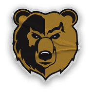 A collection of stickers and logos, including a bear and a football team. Contenido generado con IA