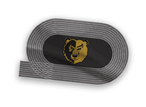 A collection of logos and images, including a bear and a football player, are displayed. Contenido generado con IA