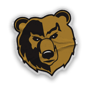 A collection of stickers and logos, including a bear, a football, and a hand with a thumbs up. Contenido generado con IA